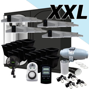 SANlight HOMEbox R240 / XXL Growbox Komplettset 240x120x200cm Expert-Setup