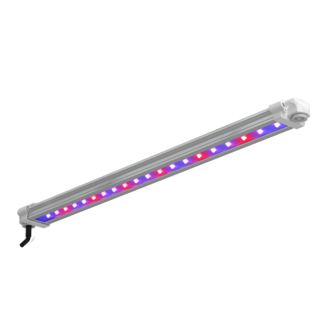 LUMii Black LED Leiste mit UV und Fernrot, 30W kaufen